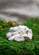 Lataa kuva Galleria-katseluun, Howliitti
